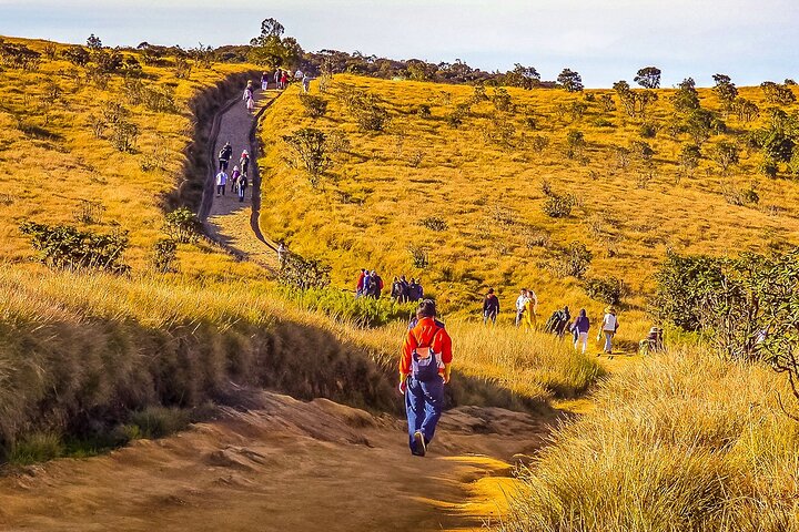 Sri Lanka Family Tour