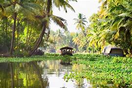 Kochi Alleppey Tour