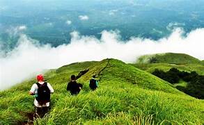 Wayanad Trekking Tour