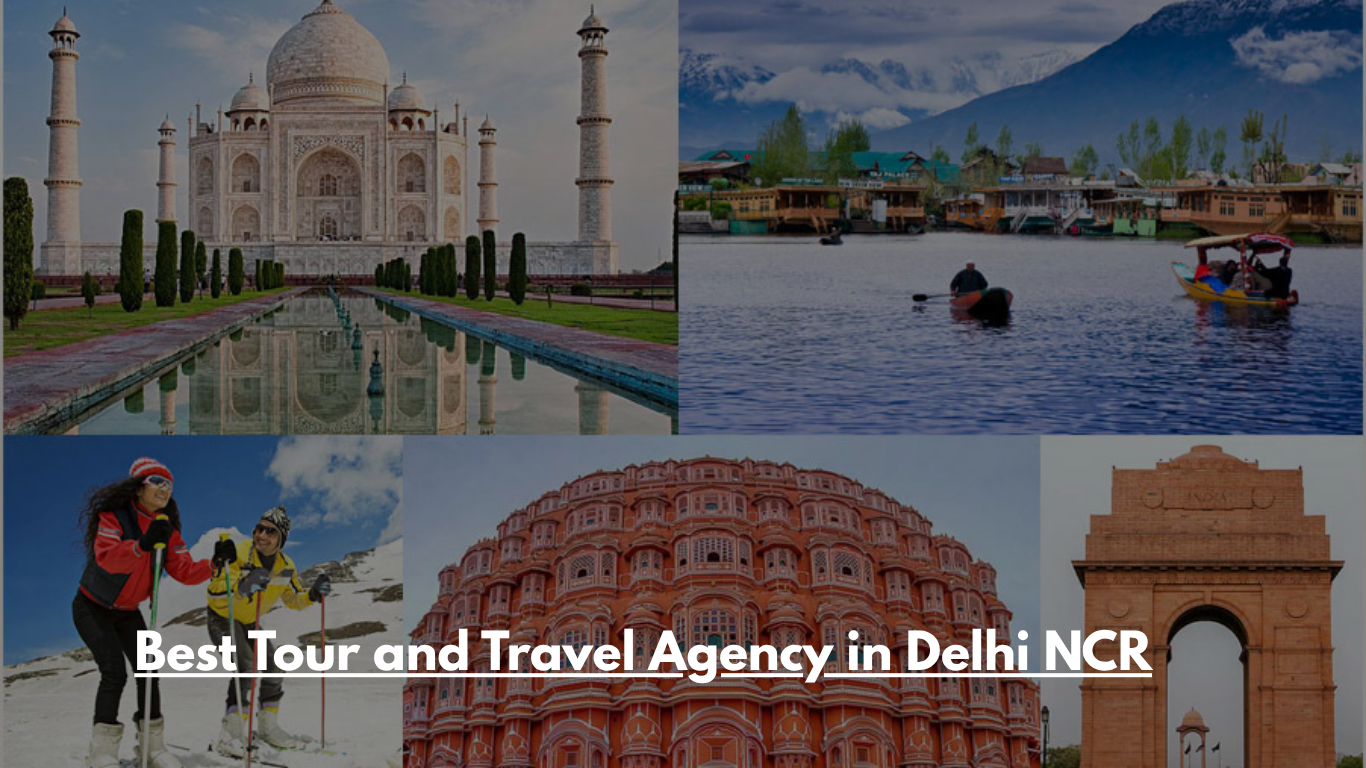 Best Tour and Travel Agency in Delhi NCR